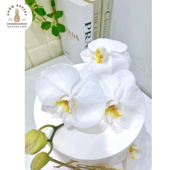 Bánh kem cưới tone trắng đám cưới hoa lan 